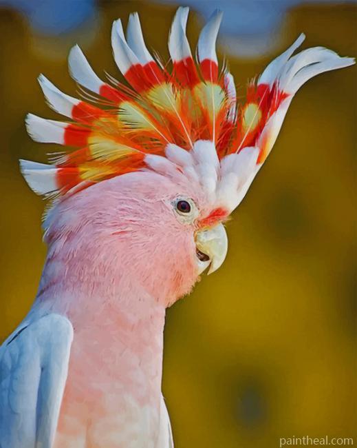 Pink Cockatoo Bird Painting By Numbers Kits