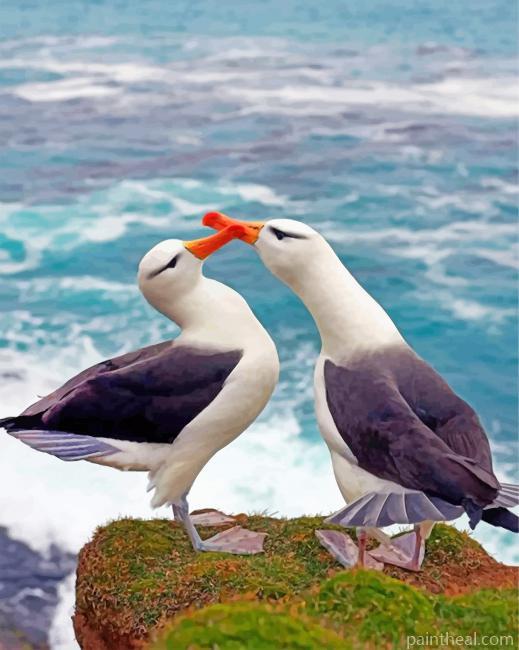 Birds In Love Painting By Numbers Kits
