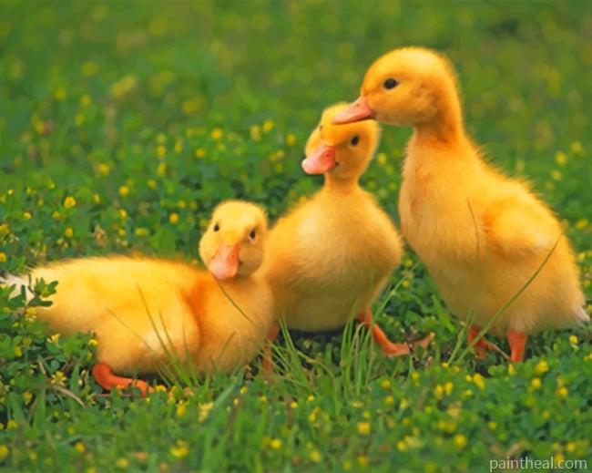 Baby Ducklings On The Grass Painting By Numbers Kits