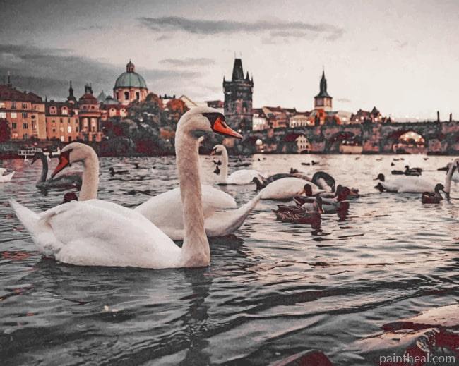 Swans Near Charles Bridge Painting By Numbers Kits