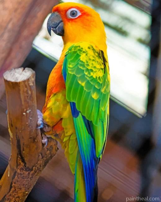 Colorful Parrot Bird Painting By Numbers Kits
