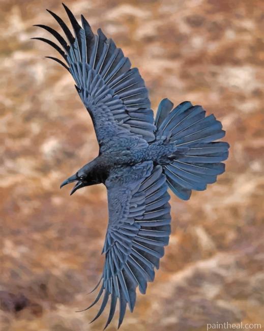 Flying Ravens Painting By Numbers Kits