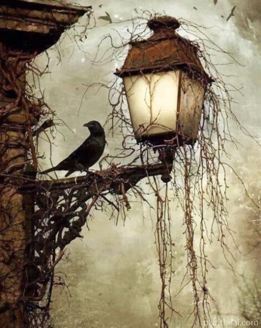 Black Crow Painting By Numbers Kits