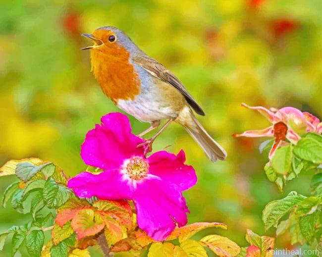 Robin On Pink Flower Painting By Numbers Kits