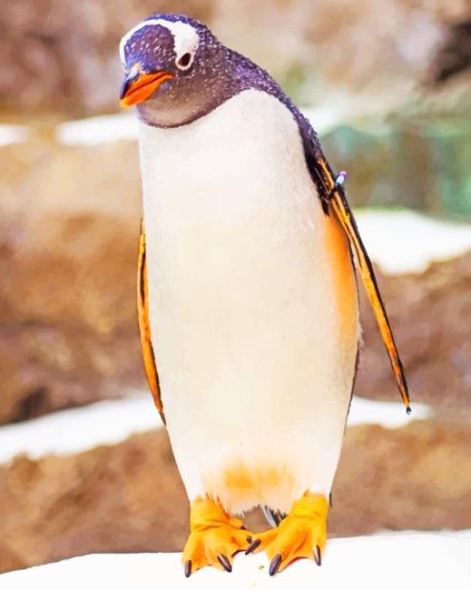 Penguin Bird On Stone Painting By Numbers Kits
