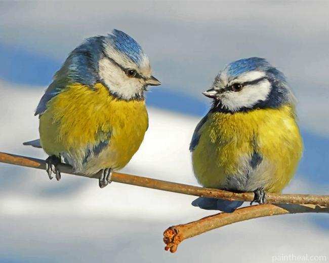Aesthetic Blue Tit Birds Painting By Numbers Kits
