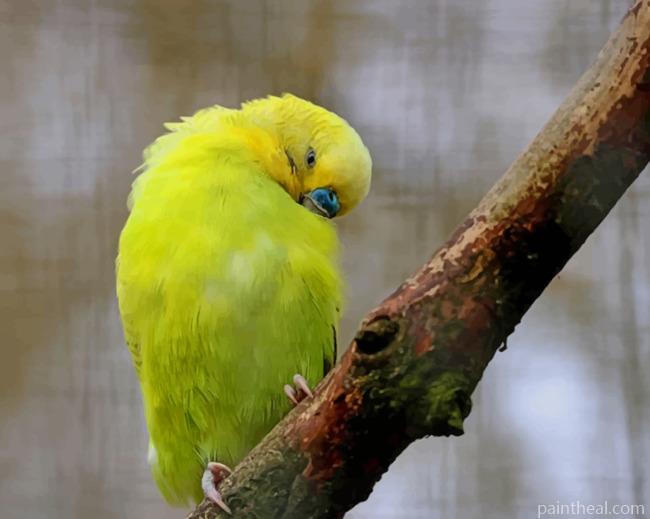 Yellow Feathered Wing Parrot Painting By Numbers Kits