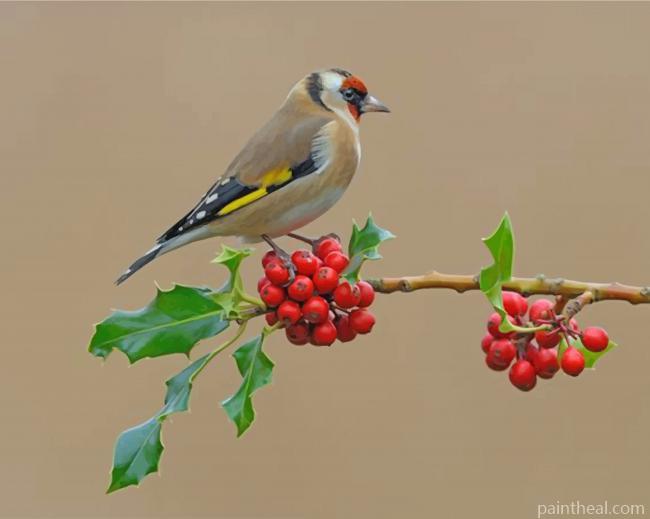 Aesthetic Bullfinch Painting By Numbers Kits