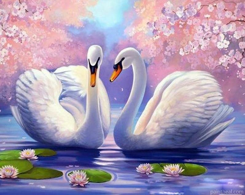 Swan Animals Oil Painting Acrylic Painting By Numbers Kits
