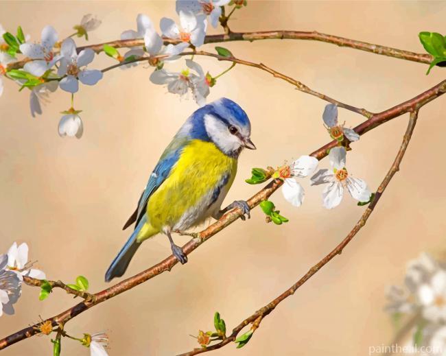 Aesthetic Blue Tit Painting By Numbers Kits