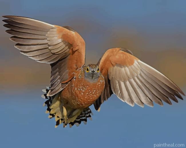 Gray And Brown Bird Flying Painting By Numbers Kits
