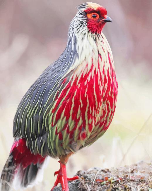 Blood Pheasant Painting By Numbers Kits