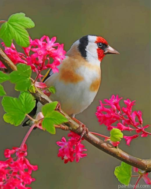 Aesthetic Bullfinch Bird Painting By Numbers Kits