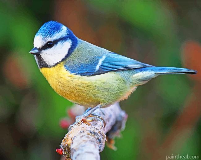 Blue Tit Painting By Numbers Kits