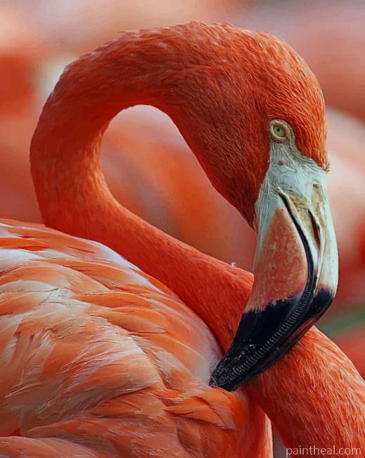 Red And White Swan Flamingo Painting By Numbers Kits
