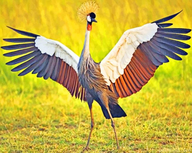 Crane Bird In Grass Painting By Numbers Kits