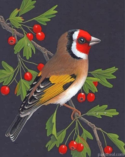 Bullfinch Bird Illustration Painting By Numbers Kits