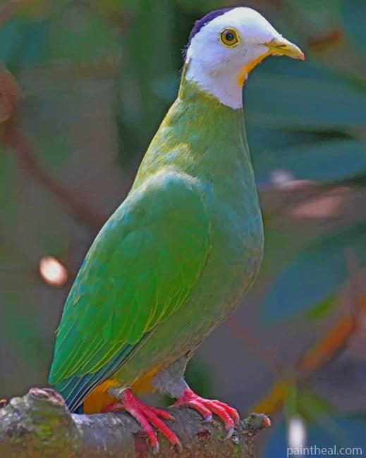 Lovebird Parrot Painting By Numbers Kits