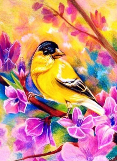 American Goldfinch Bird Art Painting By Numbers Kits