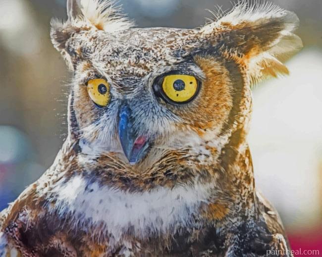 Owl With Yellow Eyes Painting By Numbers Kits