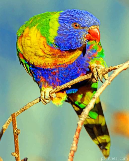 Multicolored Parrot Painting By Numbers Kits