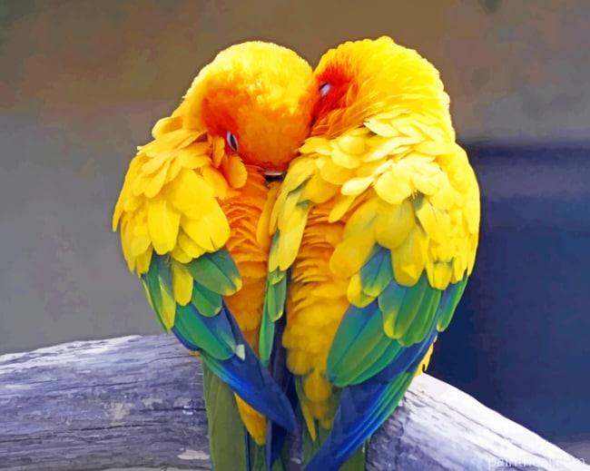 Parrot Birds Love Painting By Numbers Kits