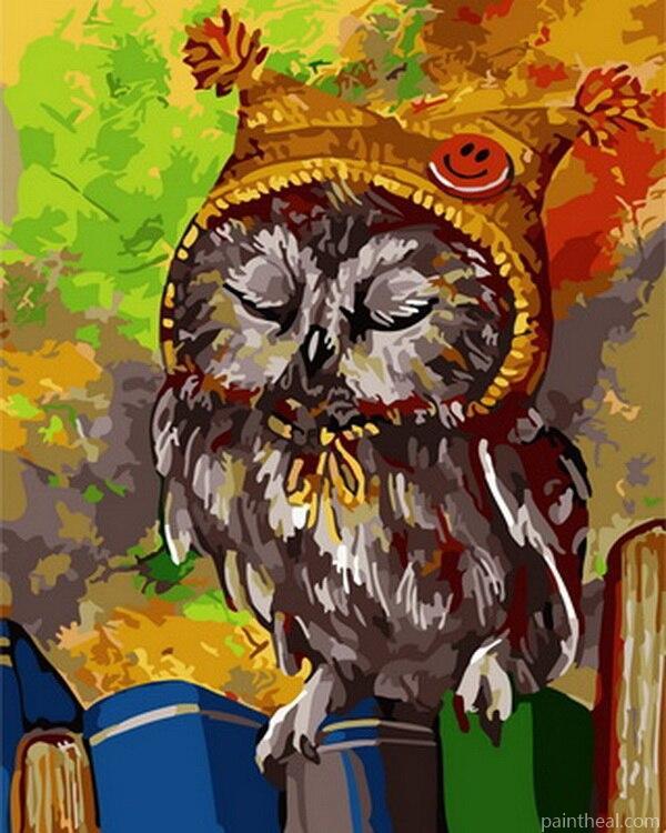 Owl In Knitted Cap Painting By Numbers Kits