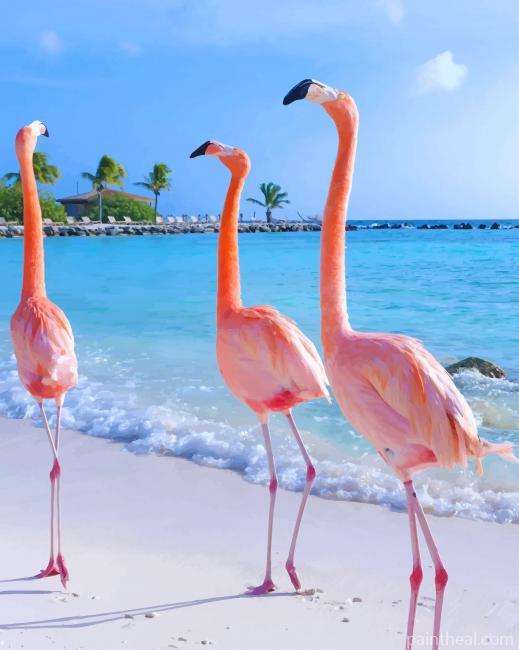 Aruba Flamingos Painting By Numbers Kits