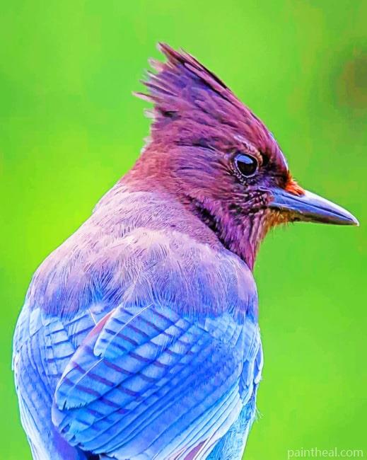 Jay Bird On Branch Painting By Numbers Kits