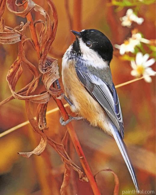 Early Bird Chickadee Painting By Numbers Kits