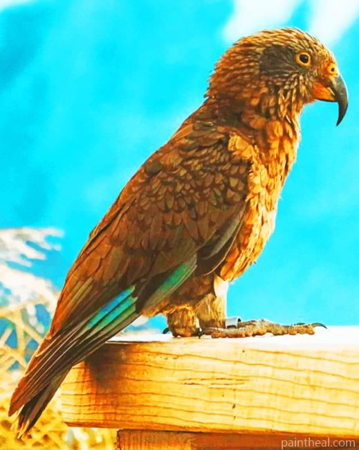 Kea Parrot Bird Painting By Numbers Kits