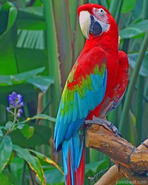 Macaw Parrot On Tree Painting By Numbers Kits