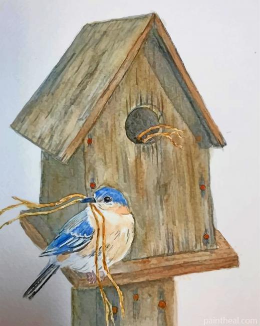 Aesthetic Bird House Painting By Numbers Kits