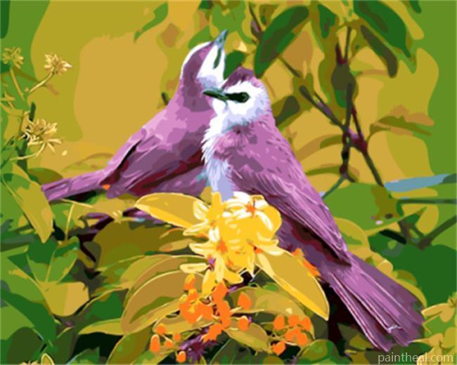 Purple Birds Painting By Numbers Kits