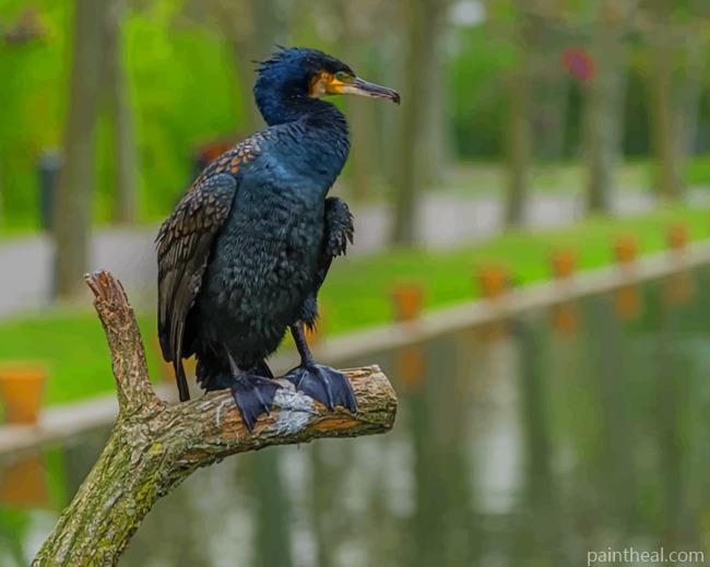 Black Bird Perch On Tree Branch Painting By Numbers Kits