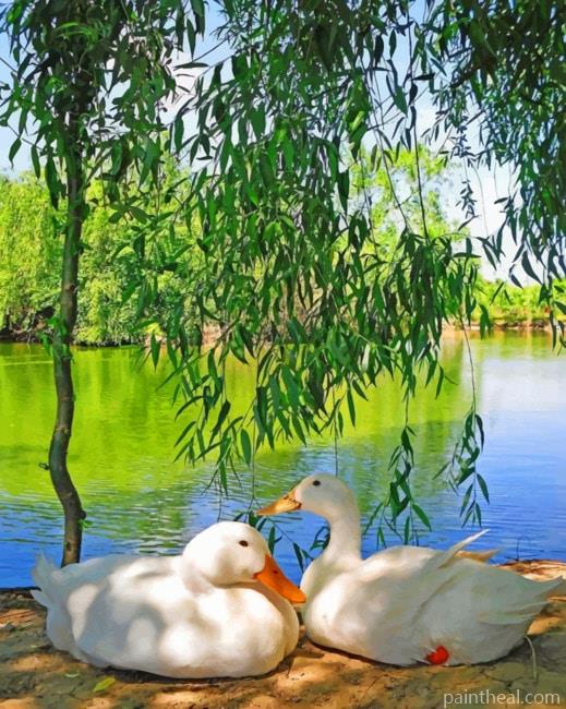 White Ducks Painting By Numbers Kits