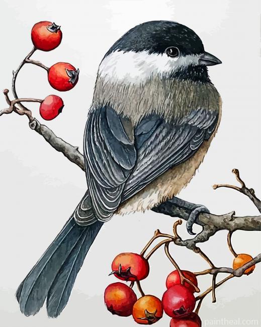 Chickadee Bird Painting By Numbers Kits