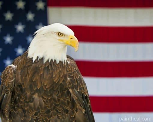 Eagle And American Flag Painting By Numbers Kits