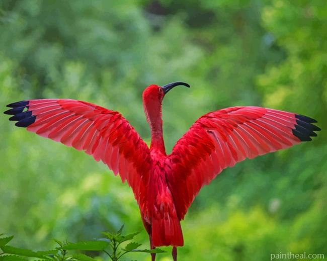 Red Heron Bird Painting By Numbers Kits
