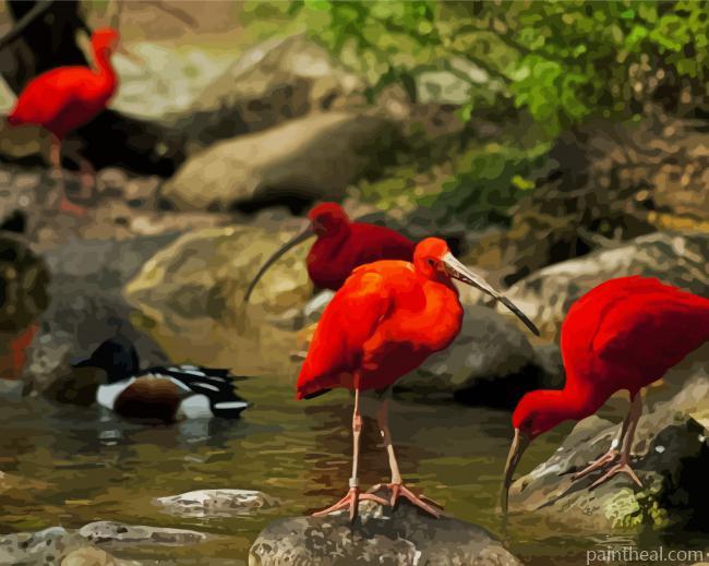 Red Crane Painting By Numbers Kits