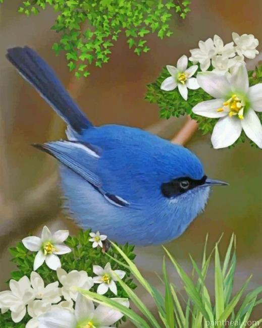 Blue Fairy Wren Painting By Numbers Kits