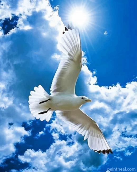 Free Bird Painting By Numbers Kits