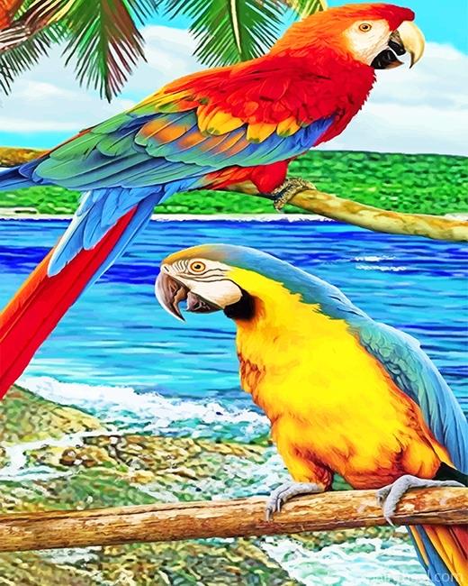 Parrots Painting By Numbers Kits
