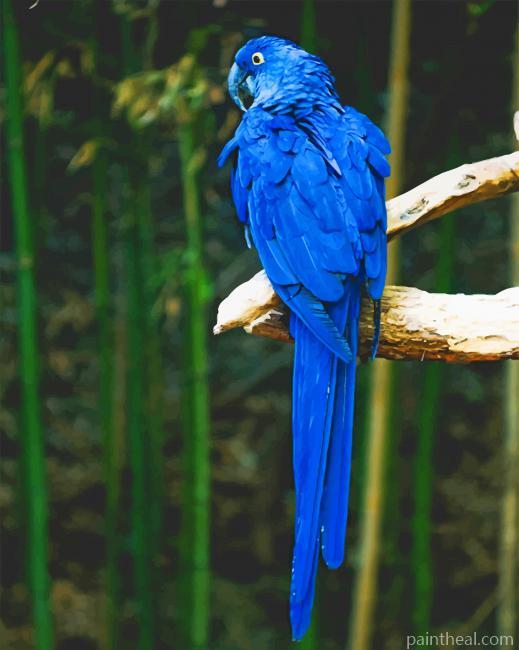 Blue Bird Perch On Tree Painting By Numbers Kits