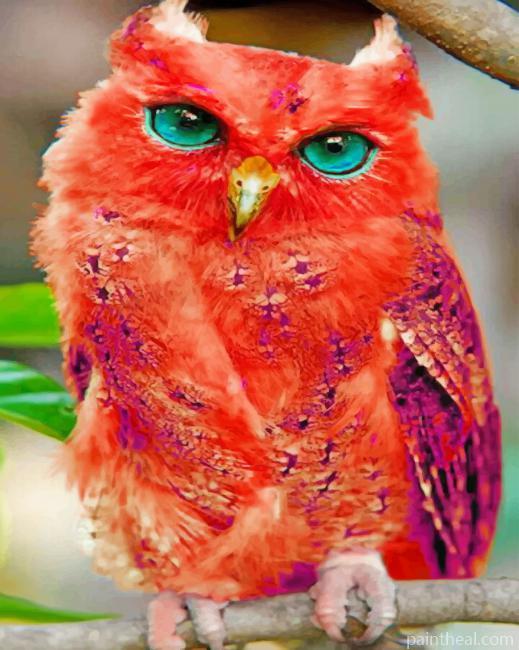 Madagascar Red Owl Painting By Numbers Kits