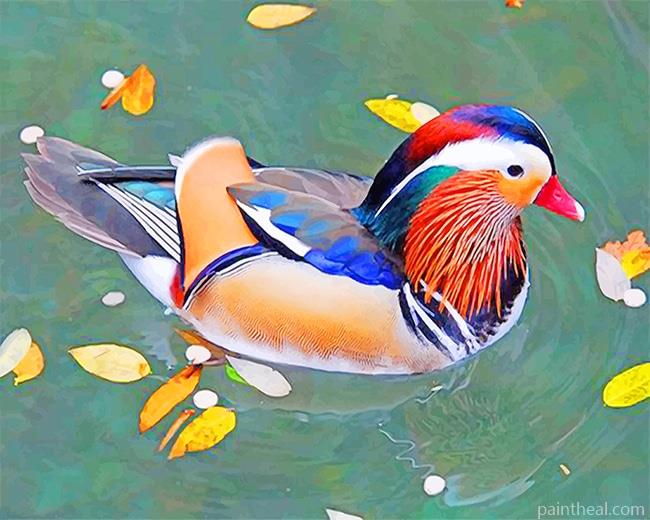 Mandarin Duck Painting By Numbers Kits