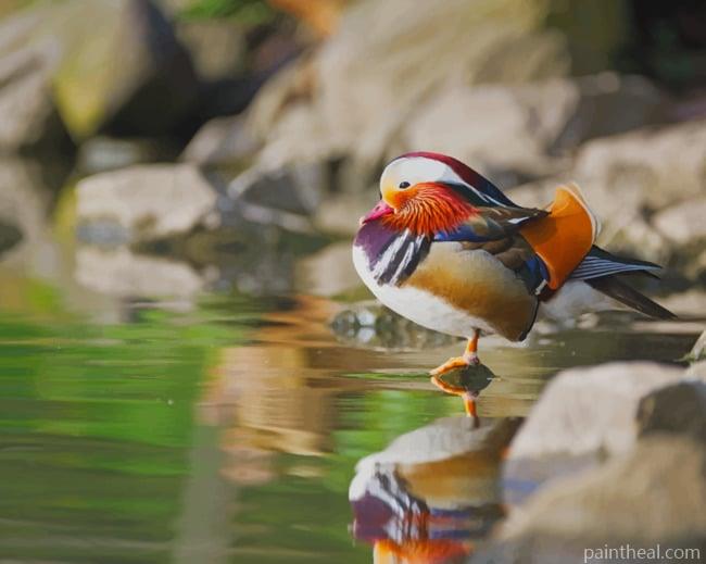 Mandarin Duck Bird Painting By Numbers Kits