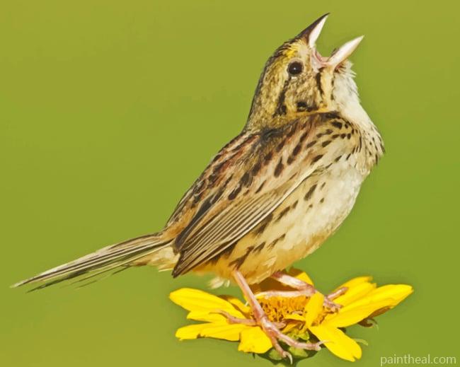 Henslow Sparrow Bird On A Flower Painting By Numbers Kits