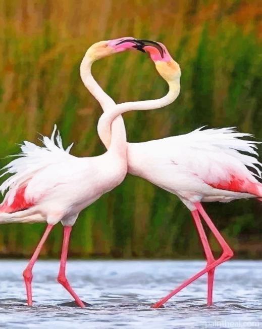 Beautiful Flamingos Painting By Numbers Kits