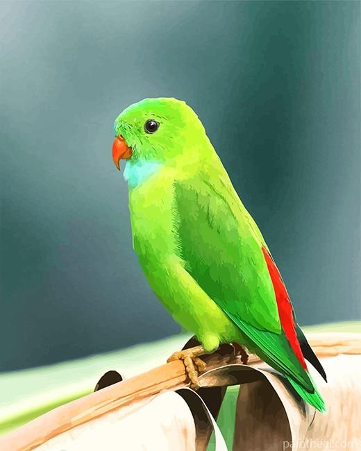 Green Parakeet Painting By Numbers Kits